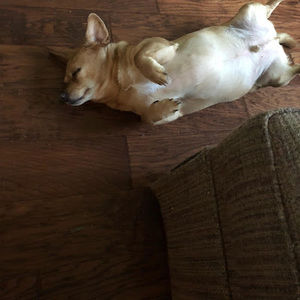 Meet your Posher, Luke